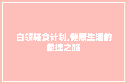 白领轻食计划,健康生活的便捷之路