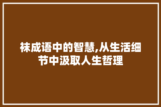 袜成语中的智慧,从生活细节中汲取人生哲理 生活随笔