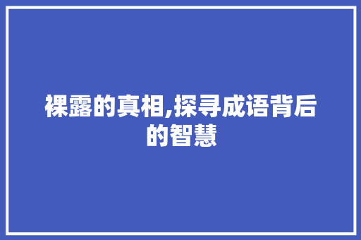 裸露的真相,探寻成语背后的智慧