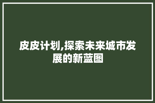 皮皮计划,探索未来城市发展的新蓝图