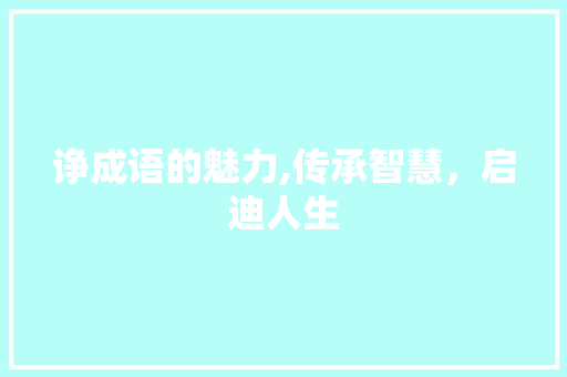 诤成语的魅力,传承智慧，启迪人生