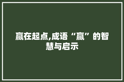 赢在起点,成语“赢”的智慧与启示