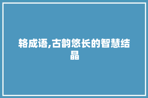 辂成语,古韵悠长的智慧结晶