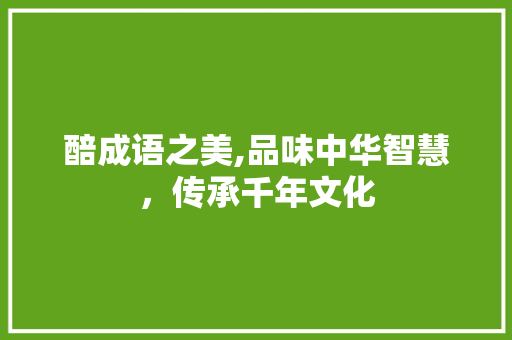 醅成语之美,品味中华智慧，传承千年文化