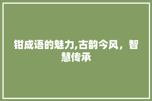钳成语的魅力,古韵今风，智慧传承
