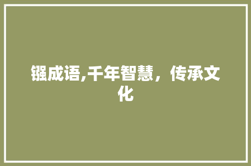 镪成语,千年智慧，传承文化