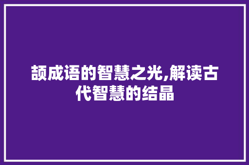 颉成语的智慧之光,解读古代智慧的结晶 商业文稿