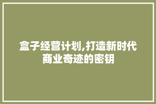 盒子经营计划,打造新时代商业奇迹的密钥