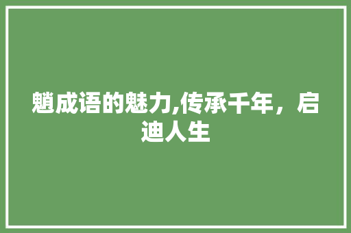 魈成语的魅力,传承千年，启迪人生