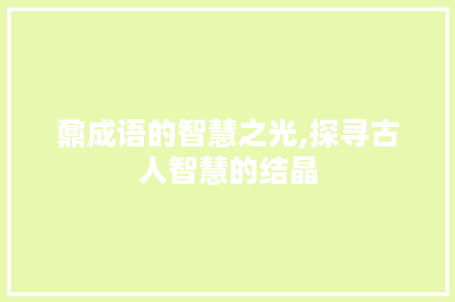 鼐成语的智慧之光,探寻古人智慧的结晶