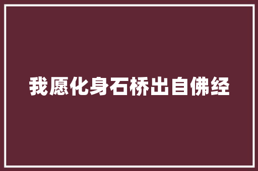一年级以内的双字组词