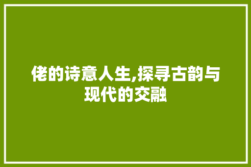 佬的诗意人生,探寻古韵与现代的交融