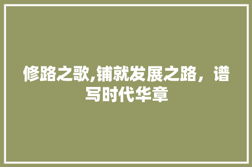 修路之歌,铺就发展之路，谱写时代华章 特写稿