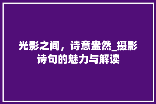 光影之间，诗意盎然_摄影诗句的魅力与解读