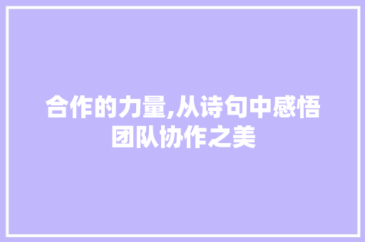 合作的力量,从诗句中感悟团队协作之美