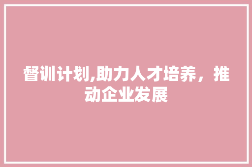 督训计划,助力人才培养，推动企业发展