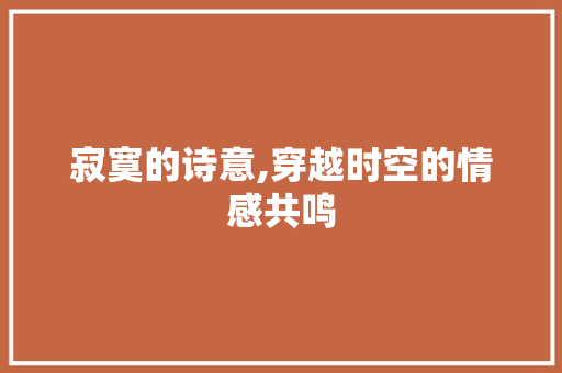 寂寞的诗意,穿越时空的情感共鸣