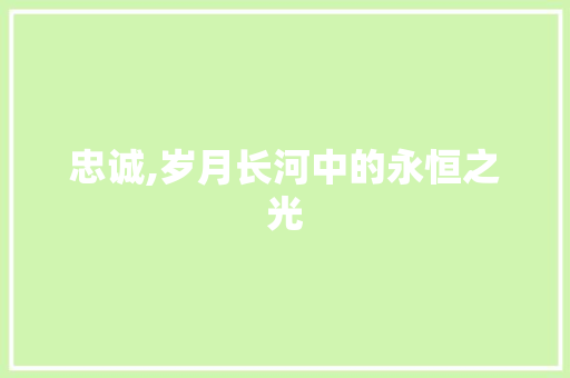 忠诚,岁月长河中的永恒之光