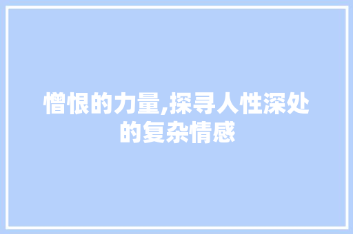 憎恨的力量,探寻人性深处的复杂情感 生活随笔