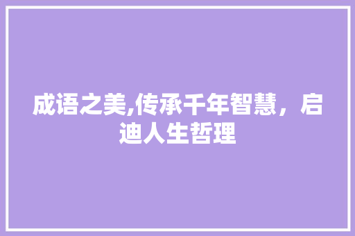 成语之美,传承千年智慧，启迪人生哲理 生活随笔