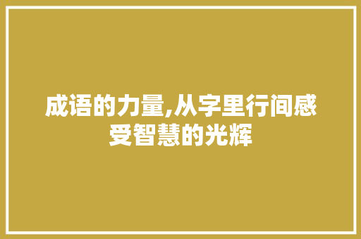 成语的力量,从字里行间感受智慧的光辉