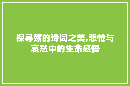 探寻殇的诗词之美,悲怆与哀愁中的生命感悟