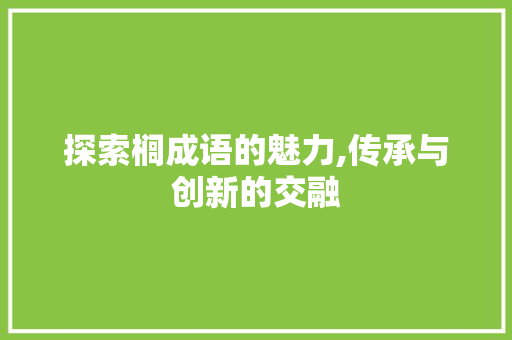 探索榈成语的魅力,传承与创新的交融 生活感悟