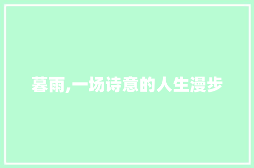 暮雨,一场诗意的人生漫步