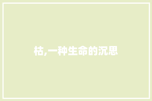 枯,一种生命的沉思