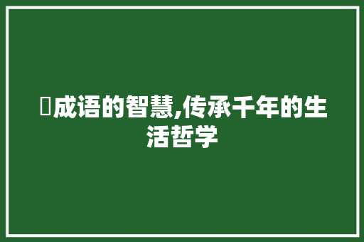 椀成语的智慧,传承千年的生活哲学