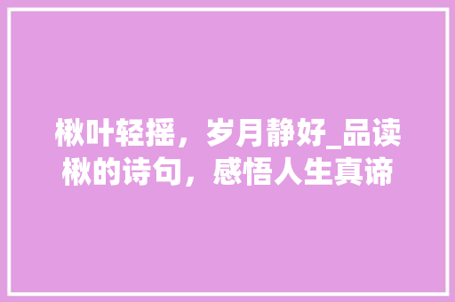 楸叶轻摇，岁月静好_品读楸的诗句，感悟人生真谛