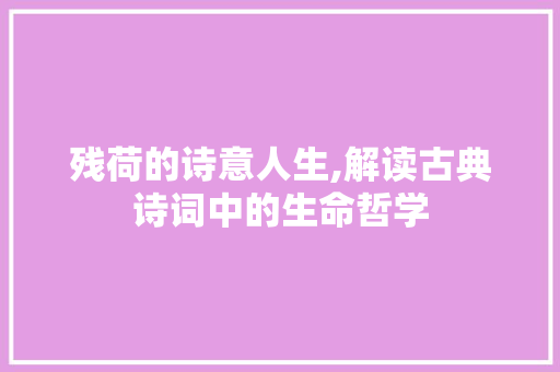 残荷的诗意人生,解读古典诗词中的生命哲学 工作类
