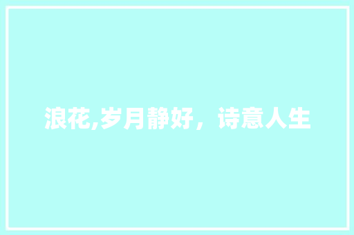 浪花,岁月静好，诗意人生