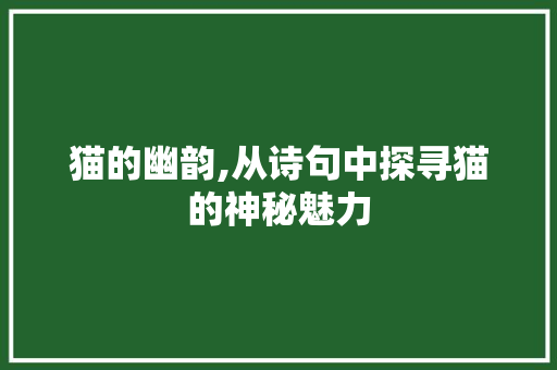 猫的幽韵,从诗句中探寻猫的神秘魅力