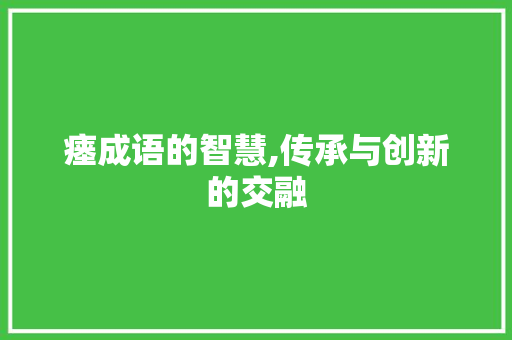瘗成语的智慧,传承与创新的交融