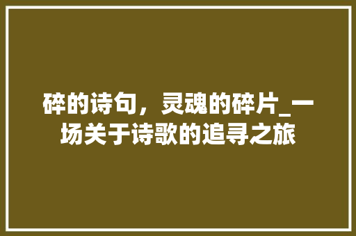 碎的诗句，灵魂的碎片_一场关于诗歌的追寻之旅