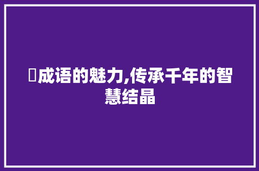 磳成语的魅力,传承千年的智慧结晶