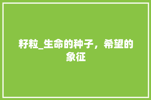 籽粒_生命的种子，希望的象征