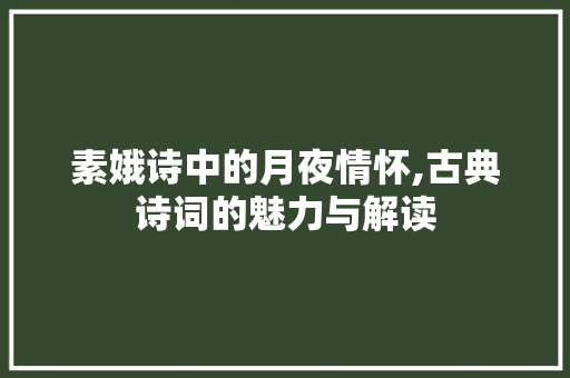 素娥诗中的月夜情怀,古典诗词的魅力与解读