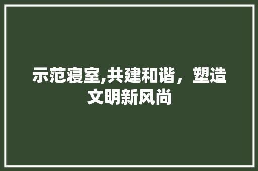 示范寝室,共建和谐，塑造文明新风尚