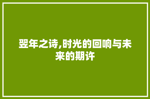 翌年之诗,时光的回响与未来的期许