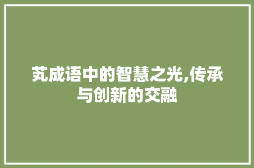 芄成语中的智慧之光,传承与创新的交融
