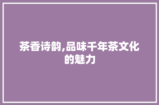 茶香诗韵,品味千年茶文化的魅力