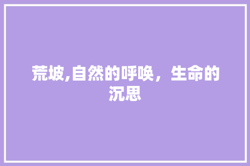 荒坡,自然的呼唤，生命的沉思