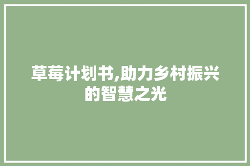 草莓计划书,助力乡村振兴的智慧之光