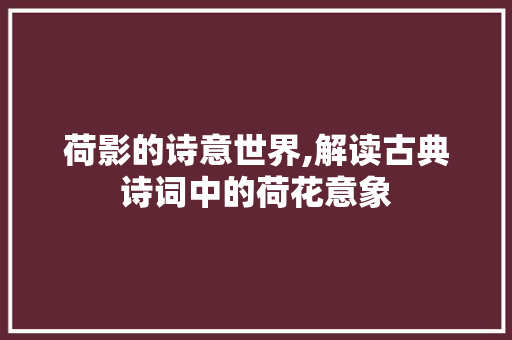 荷影的诗意世界,解读古典诗词中的荷花意象