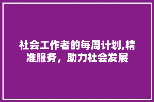 社会工作者的每周计划,精准服务，助力社会发展