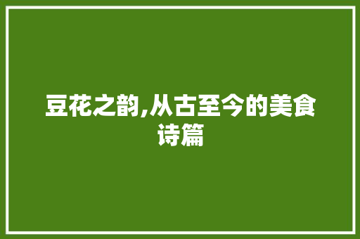 豆花之韵,从古至今的美食诗篇