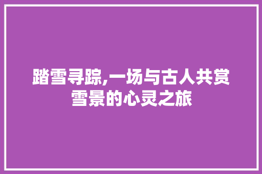 踏雪寻踪,一场与古人共赏雪景的心灵之旅