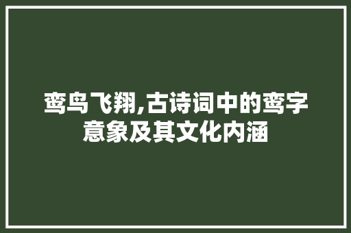 鸾鸟飞翔,古诗词中的鸾字意象及其文化内涵